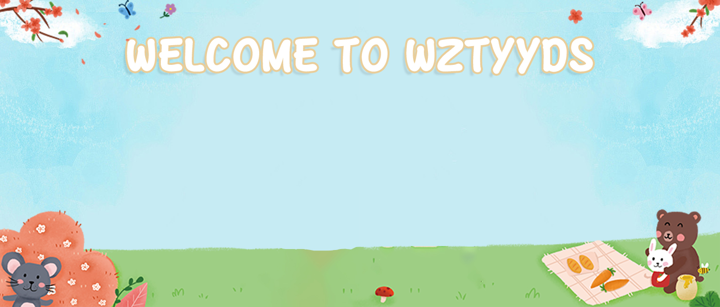 WZTYYDS