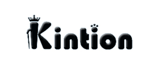 Kintion