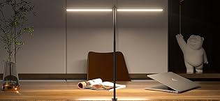 LED Desk Lamp