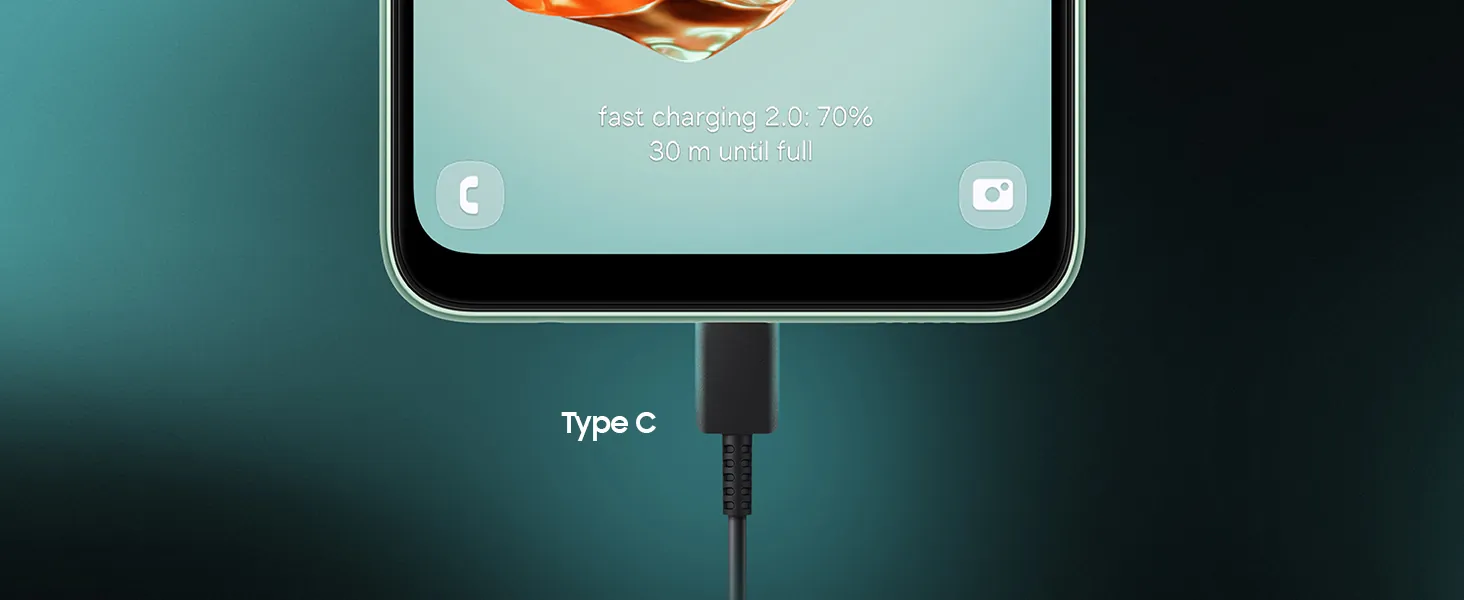 Type C Charger